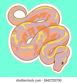 ball python snake drawings - antoniouxyibza
