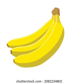 illustration vector graphic of banana
