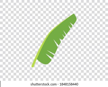 ilustración vectorial de la hoja de plátano aislada en fondo transparente. Cuadrícula transparente. ilustraciones vectoriales fondo de estilo de cuadrícula transparente. Ilustración vectorial de material eps10. 
