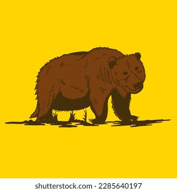 
Illustration vector graphic of BEAR WALKING suitable for logo product also for design merchandise
