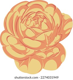 Illustration Vektorgrafik von schönen Blumen perfekt für die Gestaltung von Designs.
