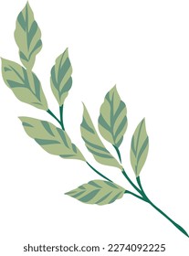 Illustration vector graphic of beautiful flower leaf perfect for designs decoration.
