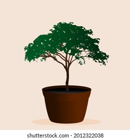 Illustration vector graphic of beautiful ornamental plant