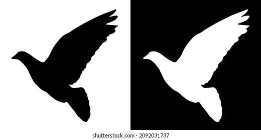 Illustration vector graphic of bird icon. Black and white color. Transparent background. Simple flat image