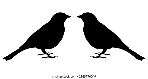 Illustration Vector Graphic of Bird Icon
