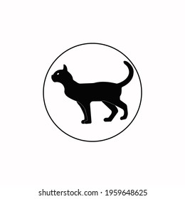 Illustration vector graphic black cat. 