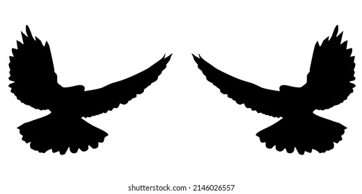 Illustration Vector Graphic of Black dove icon.