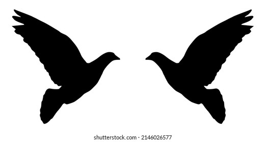 Ilustración Vector Gráfico del icono de paloma negra.