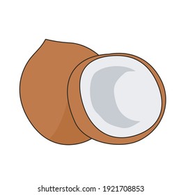 gráfico vectorial ilustrativo de frutos de coco marrón 