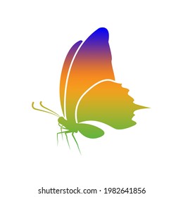 Ilustración Gráfica vectorial del diseño de mariposa