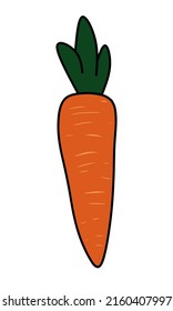 Illustration vector graphic of carrot