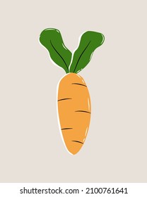 Illustration vector graphic of carrots