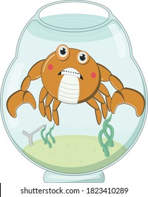 Illustration vector graphic cartoon character of orange crab in Aquarium bowl, crab angry .