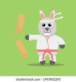 Illustration vector graphic cartoon of cute rabbit breaks wood in karate. Childish cartoon design suitable for product design of children's books, t-shirt etc