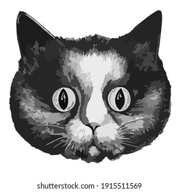 Illustration Vector Graphic of Cat. Perfect for fashion, T-Shirt, Accesories, etc.