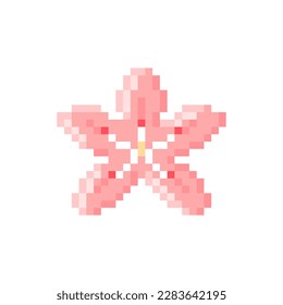 Illustration vector graphic of cherry blossoms in pixel art style