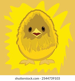 Illustration vector graphic of a chick that looks like it has lots of feathers. Fit for educational advertising or others.