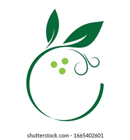 illustration vector graphic of a circular branch with leaves  isolated in white background perfect for an eco natural logo or supplement food package and vitamin 