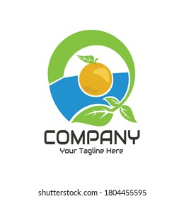 illustration vector graphic of citrus fruit wrapped in green leafy plants in the water, perfect for food, nature logo, bio, ecology, etc.

