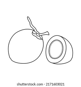 Illustration vector graphic of coconut outline. Suitable for coloring page and children's learning media.