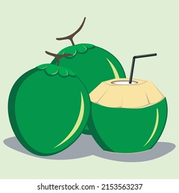 Illustration vector graphic of coconut, perfect for tropical, summer, drink, etc