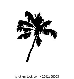 Illustration Vector Graphic of Coconut tree icon