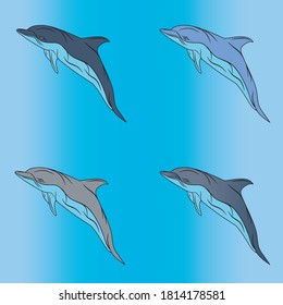 Illustration vector graphic of collection of four dolphin pictures