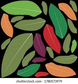 Illustration vector graphic of  colorful leaf pattern. with a black background