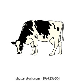 Illustration Vector graphic of cow design draw