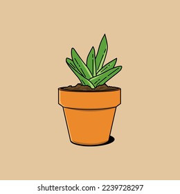 illustration vector graphic of a Crassula tecta plant or thick leaf Gasteria beautiful and perfect for a home decoration concept