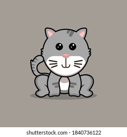 Illustration vector graphic of a cute cat sitting. Gray background. Fit for children print and children book cover.