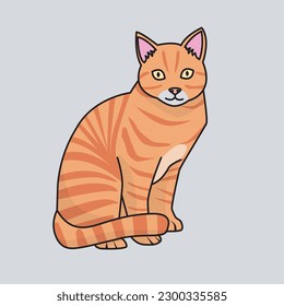 illustration vector graphic of cute cat perfect for design
