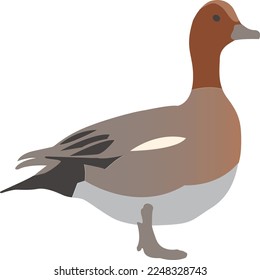 Gráfico vectorial de ilustración de un pato lindo. Perfecto para productos de diseño, carteles, etc