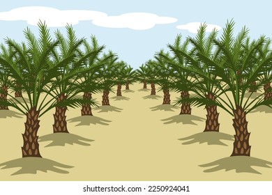 Illustration vector graphic of date palm tree farming