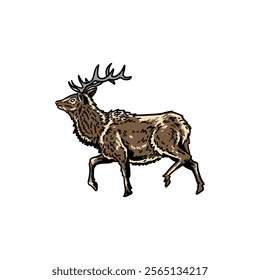 illustration vector graphic deer for design, template, elemen, illustration, etc