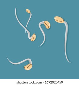 Illustration vector graphic design of bean sprout with top view flat design. Great for your business, web, mobile app, ect.