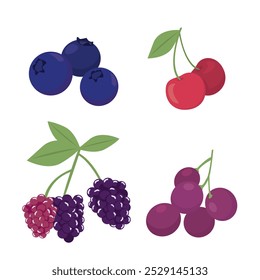 Illustration vector graphic design of Four kind of fruit blueberry, cherry, mulberry, grape. Can be used for organic food logo, fruit market sign, topping decoration, sticker, etc.