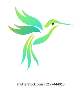 Illustration vector graphic of design hummingbirds perfect for logo template