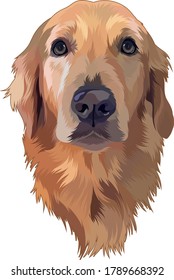 illustration vector graphic of dog, Perpec for portrait