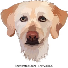 ilustración vectorial gráfico del perro, Perpec para retrato