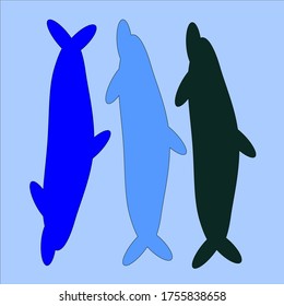 ilustración vectorial gráfico de diseño de delfines con fondo azul