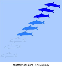 illustration vector graphic of dolphins  concept design with blue background