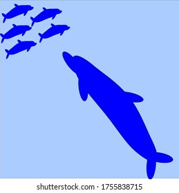 illustration vector graphic of dolphins fish concept design with blue background