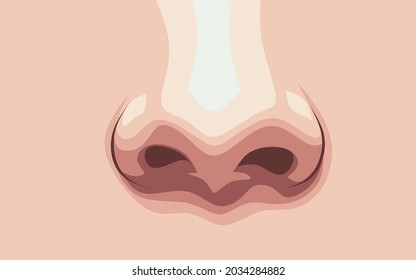 Illustration vector graphic of Draw nose. Perfect of background