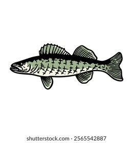 illustration vector graphic fish for design, template, elemen, illustration, etc