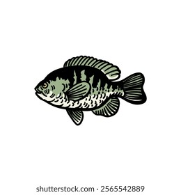 illustration vector graphic fish for design, template, elemen, illustration, etc