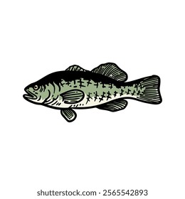 illustration vector graphic fish for design, template, elemen, illustration, etc