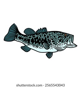 illustration vector graphic fish for design, template, elemen, illustration, etc