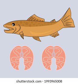 Illustration vector graphic of fish salmon and meat salmon suitable for vitamin omega3 products and other 