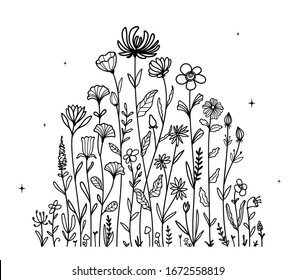 illustration vector graphic of flower hand drawn